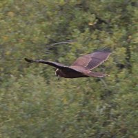 img_0315