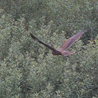 img_0319