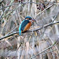 img_4322