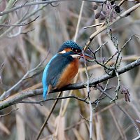 img_4328-copy