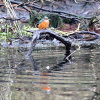 img_4353