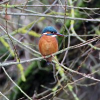 img_4362-copy