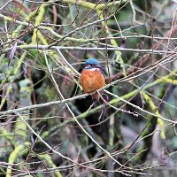 img_4370