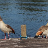 img_45851024x683