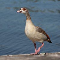 img_4590