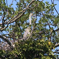 img_45981024x687-1