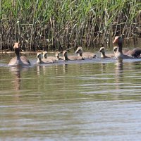 img_46121024x684