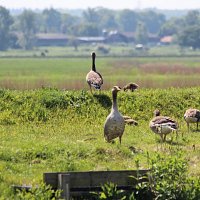 img_46221024x669-1