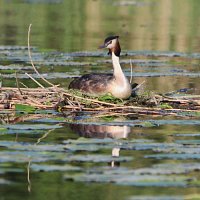 img_4767