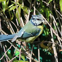 img_5262-copy1280x852