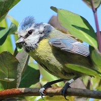 img_5268-copy1280x855