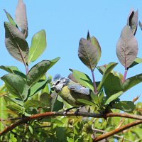 img_5268-copy21280x641