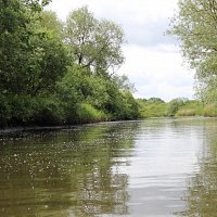 img_53441280x623