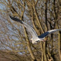 img_5430-copy