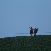 img_54971280x853