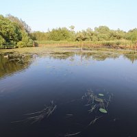 img_57111280x853