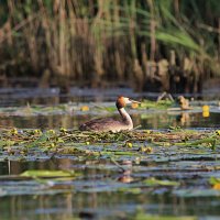 img_57421280x853