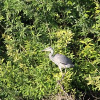 img_57981280x853