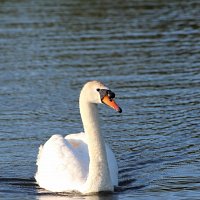 img_58311280x853