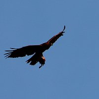 img_5890-copy