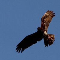 img_5891-copy