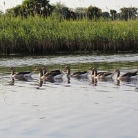 img_59421280x853