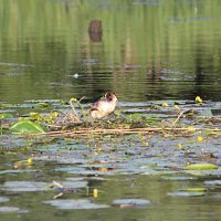 img_59711280x853