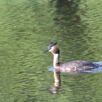 img_60041280x853