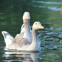 img_60941280x853