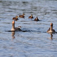 img_60951280x853