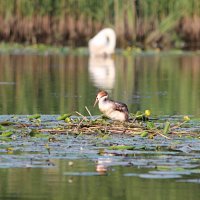 img_61481280x853-1