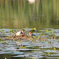 img_61641280x853