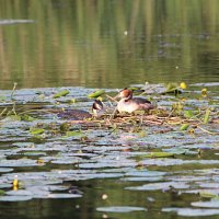 img_61711280x853