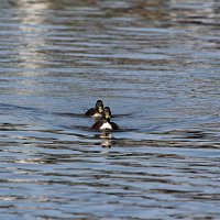 img_61931280x853