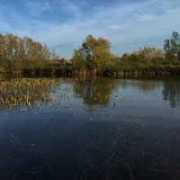 img_6380