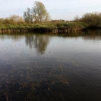 img_6381