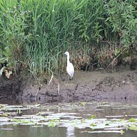 img_685631280x844