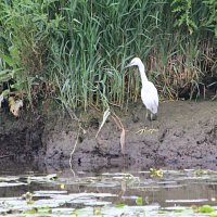 img_685921280x852