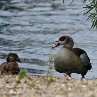 img_68881280x853