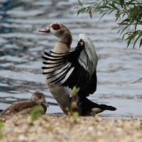 img_68901280x853