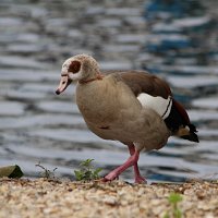 img_68951280x853