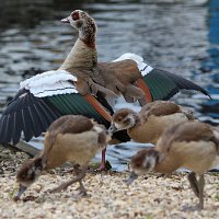 img_68961280x853
