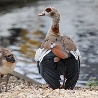 img_69081280x853