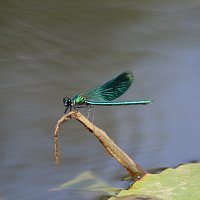 img_6909-copy1280x853