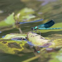 img_6917-copy1280x857