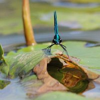 img_6923-copy1280x853