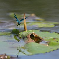 img_6928-copy1280x854