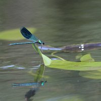 img_6937-copy1280x854