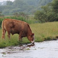 img_69831280x854