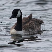 img_69931280x853